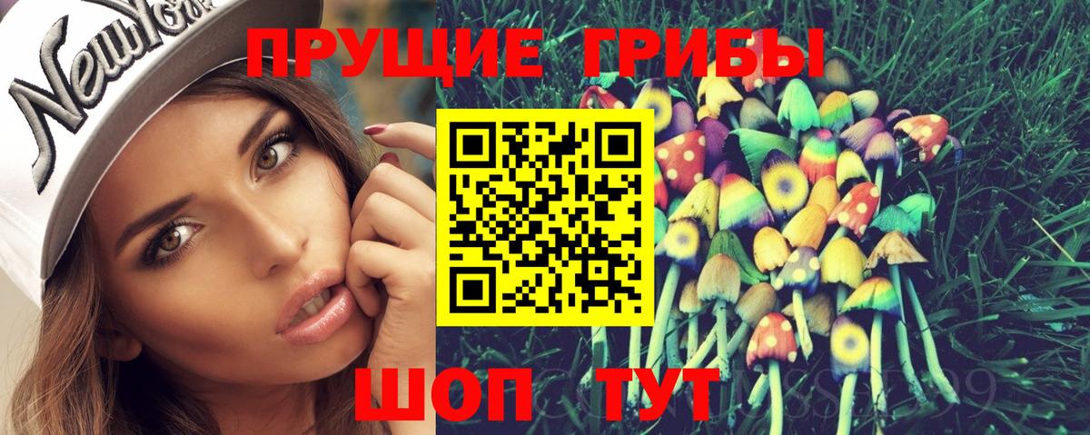 Псилоцибиновые грибы Psilocybe Ростов Великий
