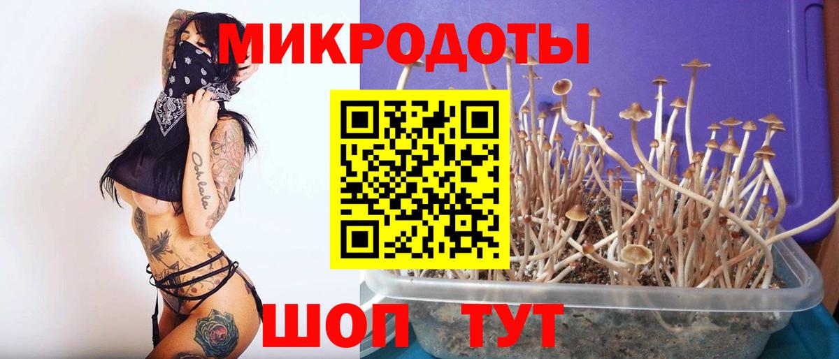цена наркотик  Галлюциногенные грибы ЛСД  Ростов Великий  Вход с VPN  Псилоцибиновые грибы прущие грибы 
